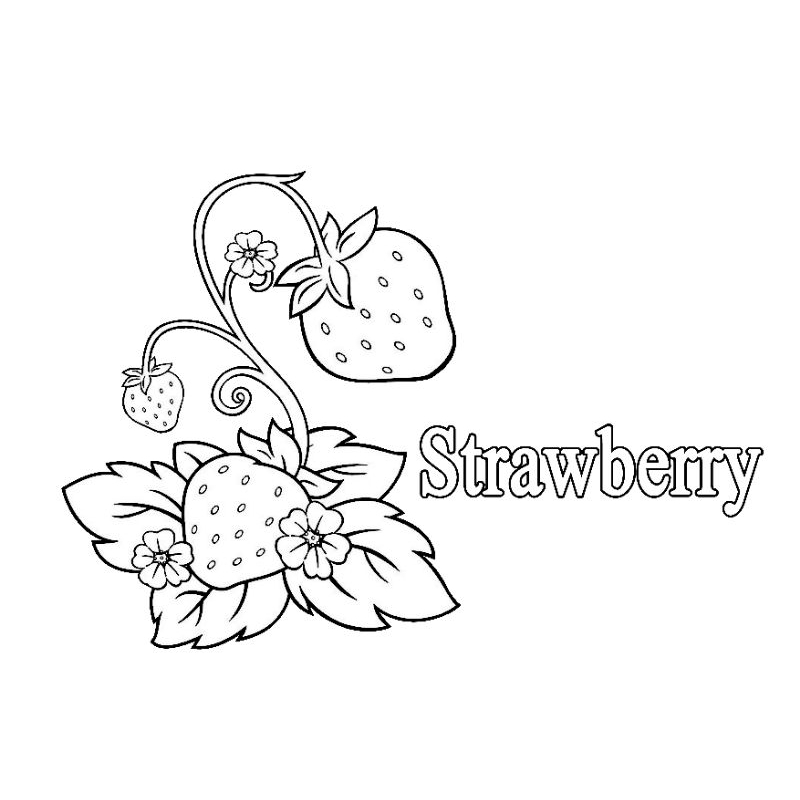 

Buku / lembar kertas mewarnai gambar buah strawberri