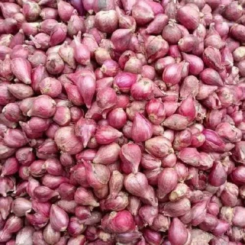 

Bawang merah brebes
