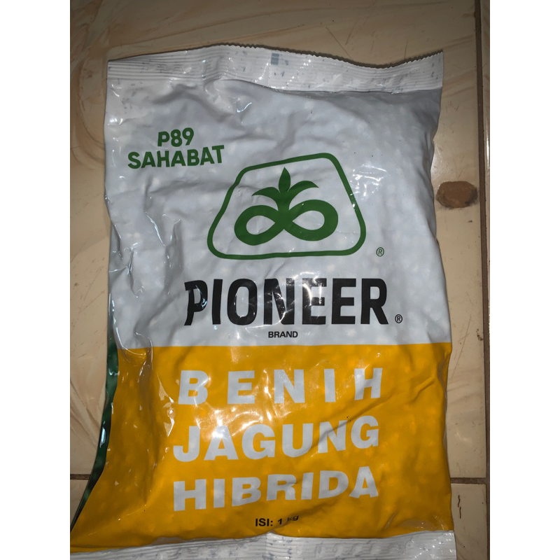 BIBIT JAGUNG P89 SAHABAT