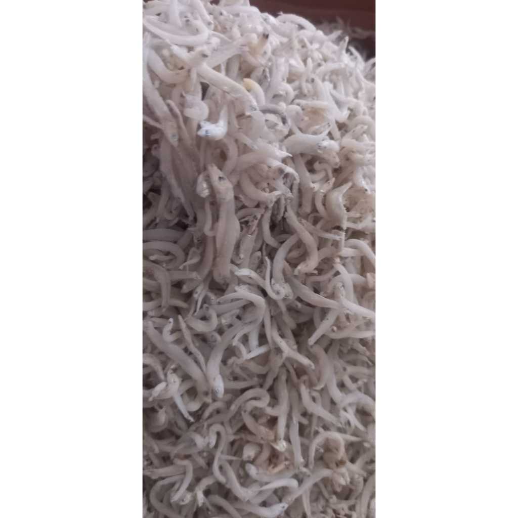 

ikan asin ikan teri teri toge