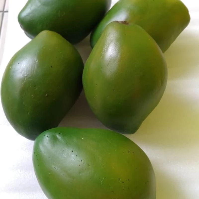 

Replika Mangga / Mangga Palsu /Pajangan Mangga