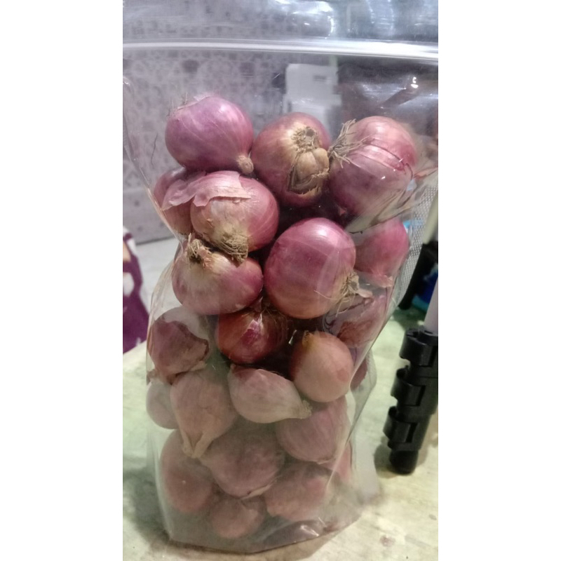 

bawang merah
