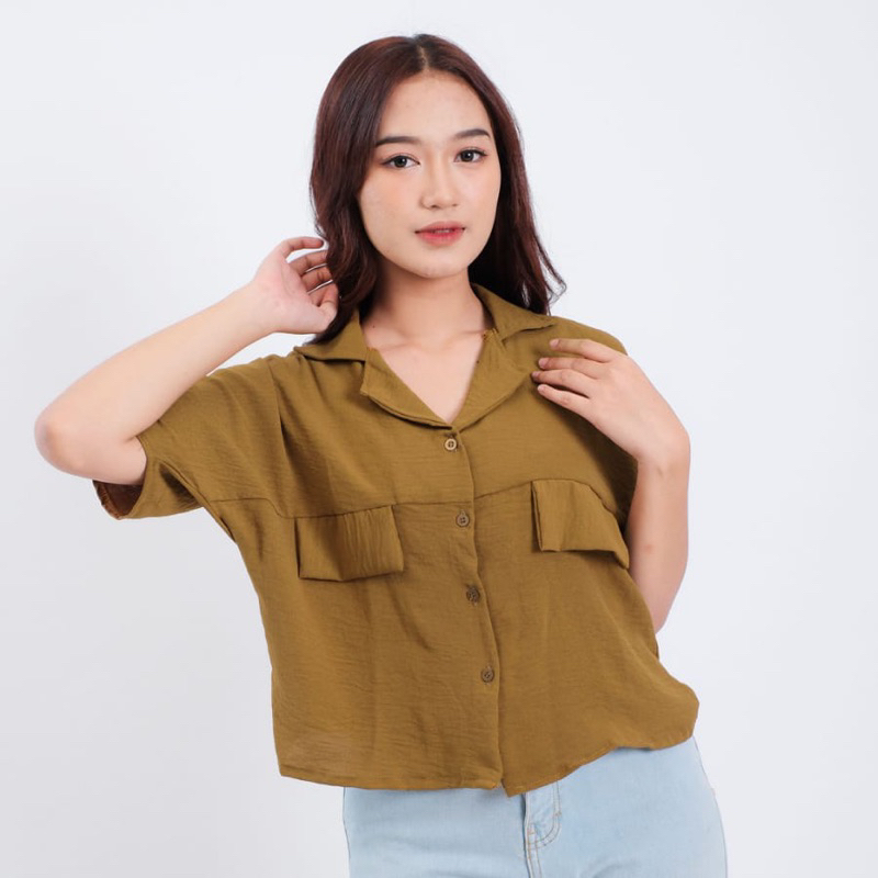 Rose Kemeja Atasan Crop Top Blouse Wanita V-Neck