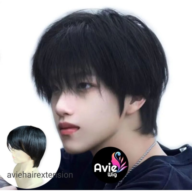 Wig / Rambut Palsu Pria Model Pendek