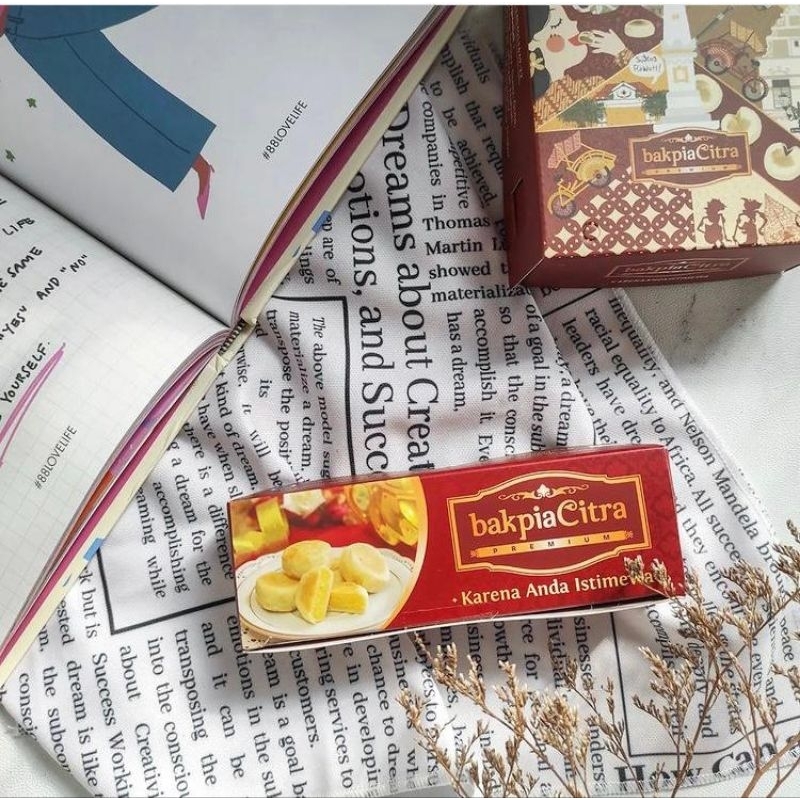 

Bakpia Citra Premium Isi 3 Varian Kacang Hijau