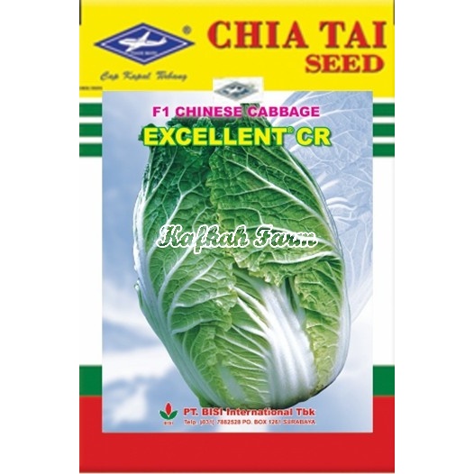 Benih 25 Biji Sawi Putih EXCELLENT CR F1
