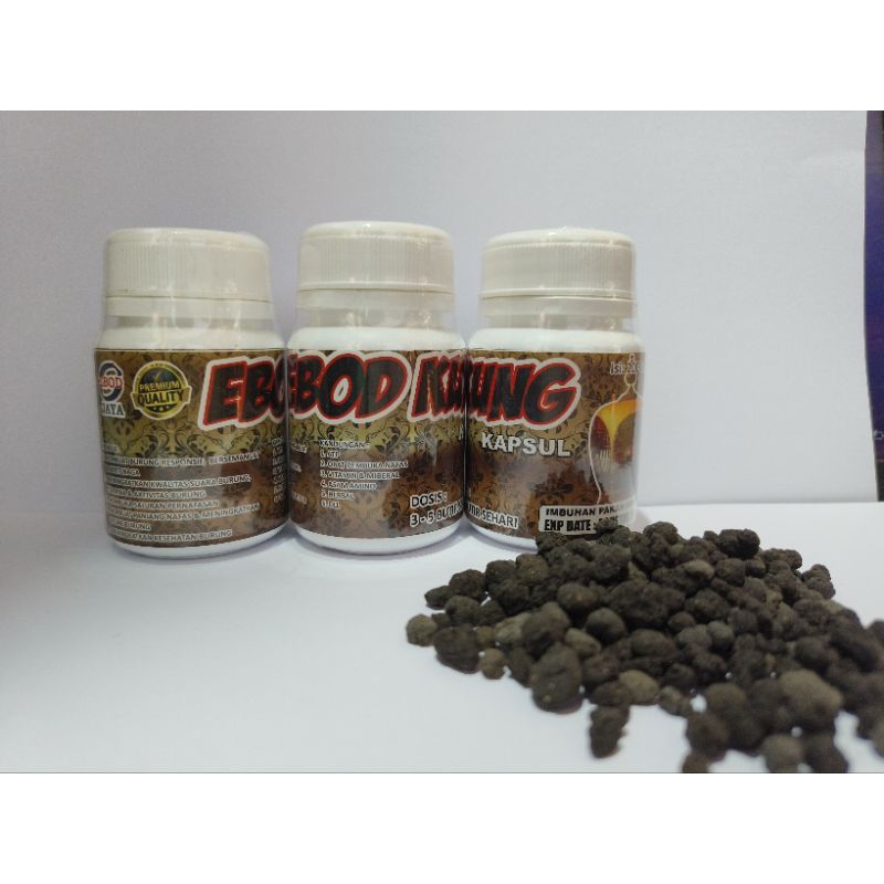 ebod kung jamu burung perkutut