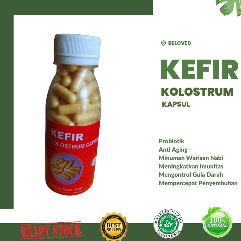 Kapsul Susu Kefir Kolostrum Fermentasi Suplemen Probiotik 100 kapsul