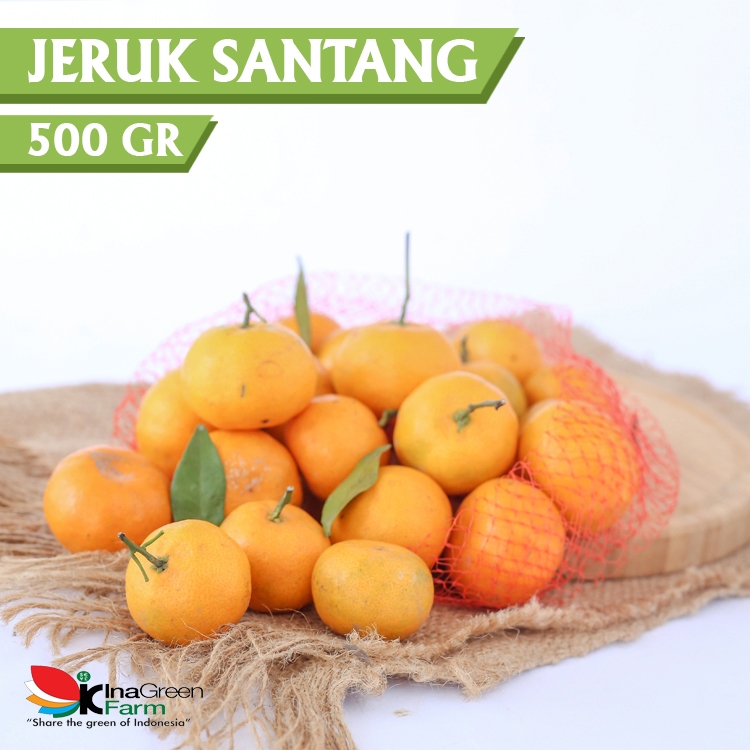 

Inagreen Farm Bandung Buah Jeruk Santang 500 Gram