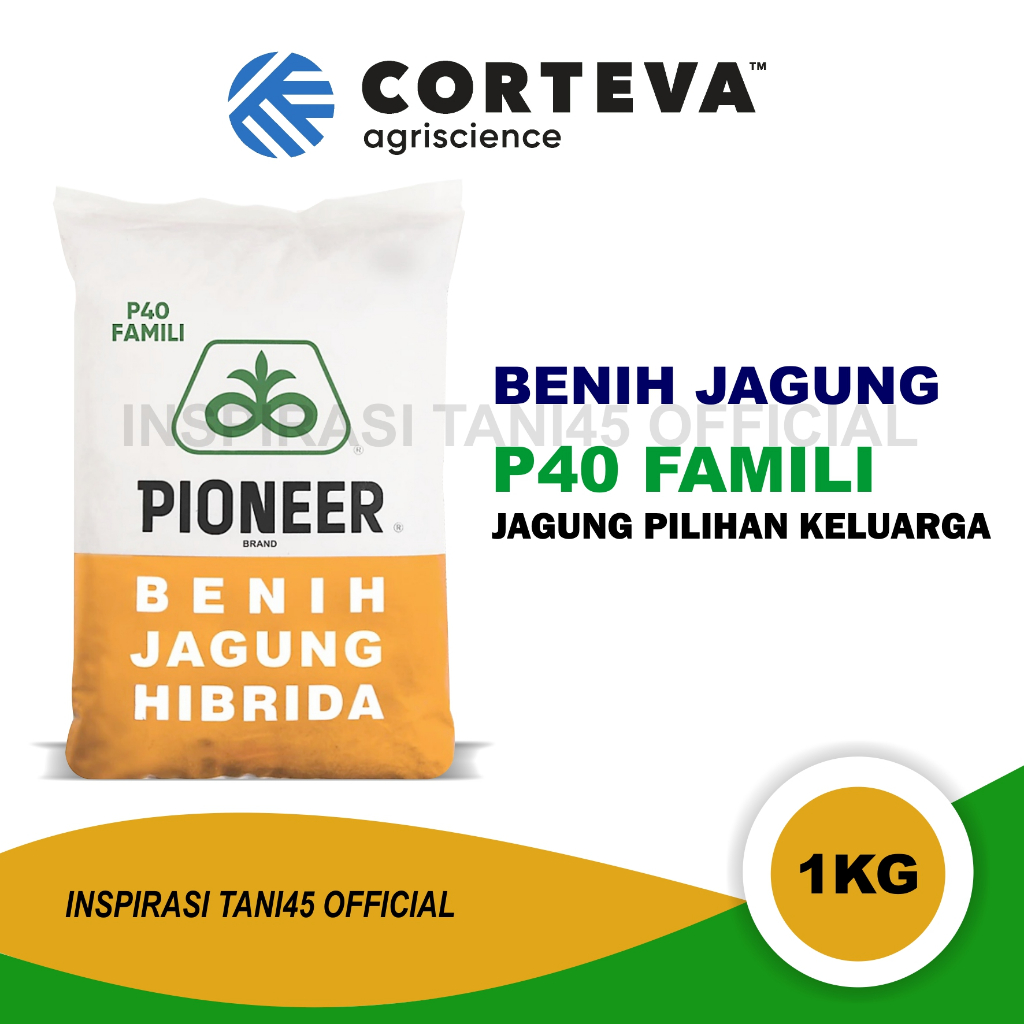 Benih jagung P40 Famili/Benih jagung pionner P40 Famili 1 kg/Benih jagung P40 Famili 1kg/Bibit jagun