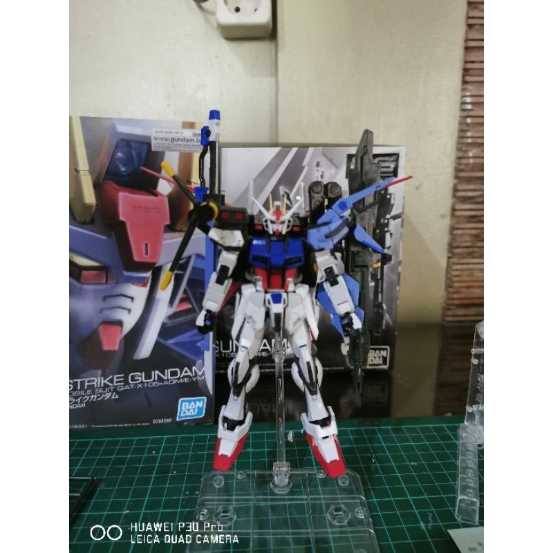 premium Bandai Rg 1/144  perfect strike gundam
