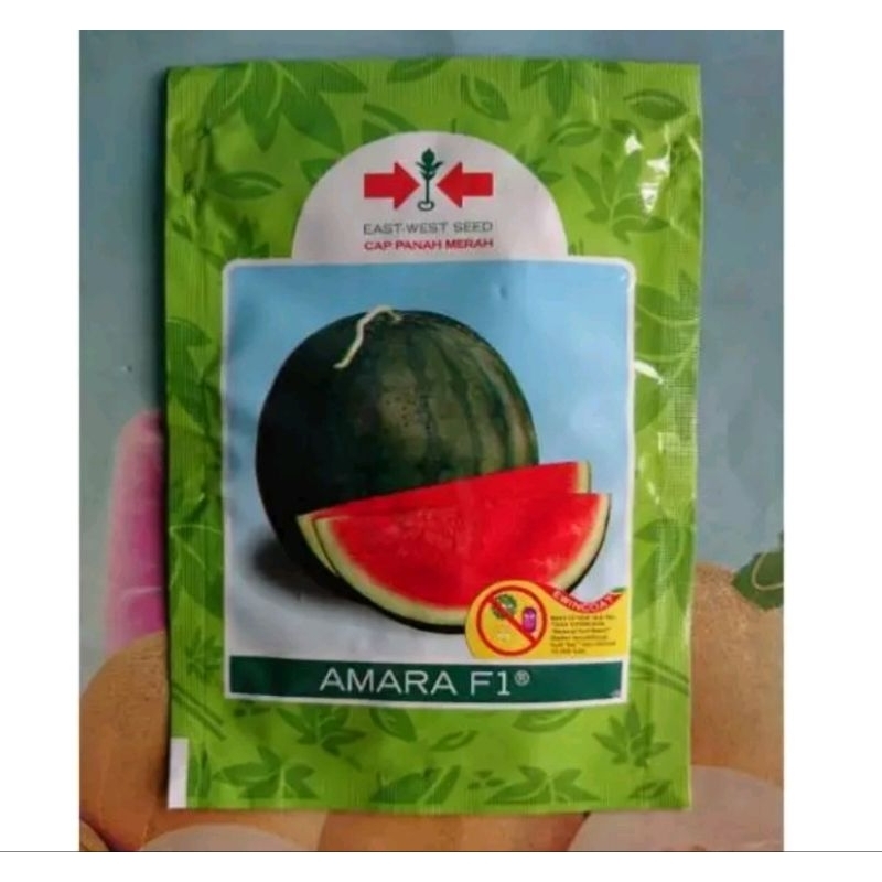 Benih Bibit Semangka Non Biji Amara F1 isi 25 biji