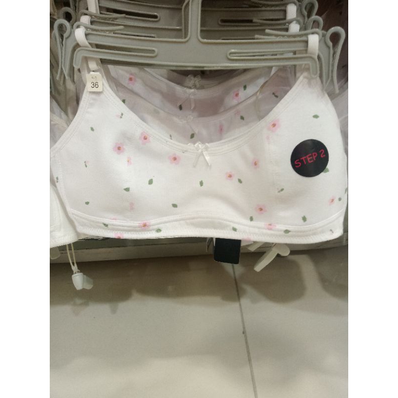 Nevada Mineset step 2 Original