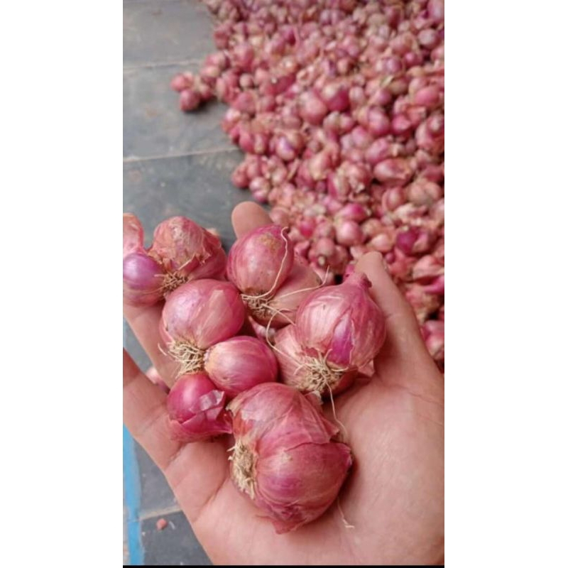 

Bawang merah setengah kg