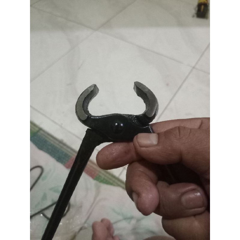 catut gegep kakaktua bahan catok bonsai ukuran 8 inch