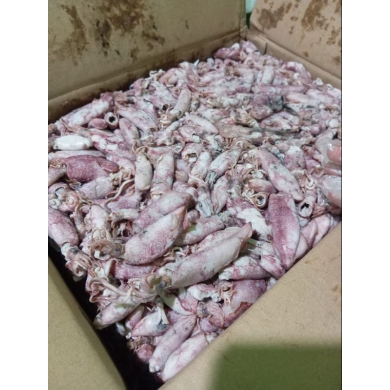 

Cumi Asin 500 gr Frozen