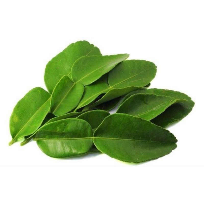 

DAUN JERUK COCOK UNTUK BUMBU MASAK