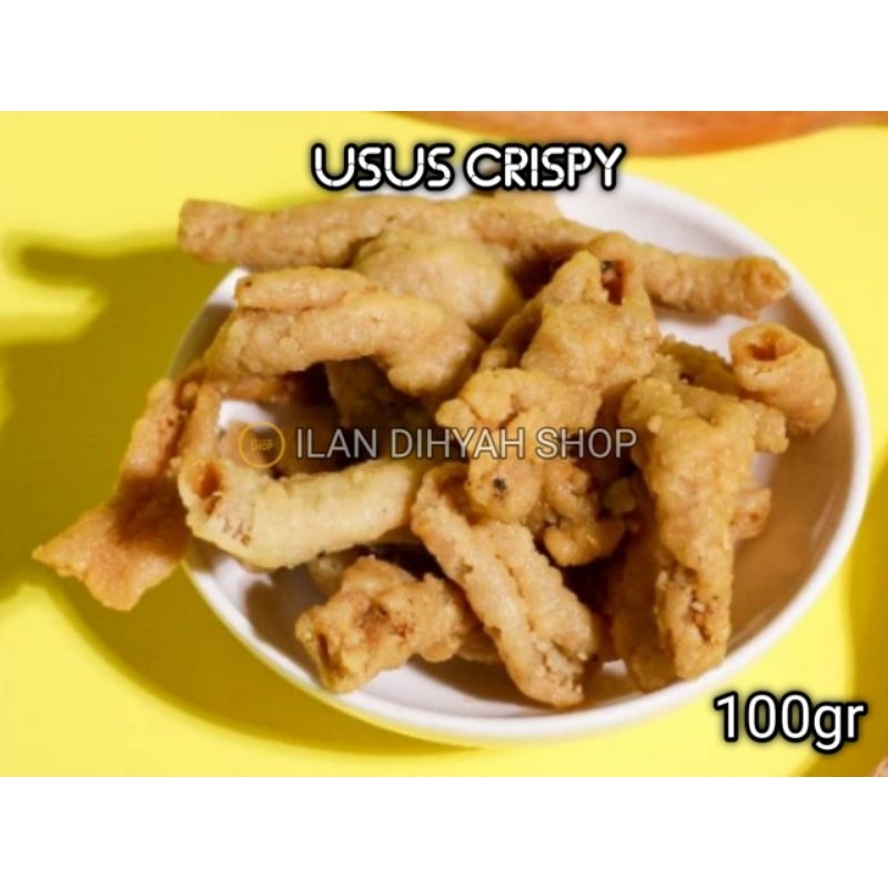 

ILAN DIHYAH SHOP - Keripik Usus Crispy 100gr