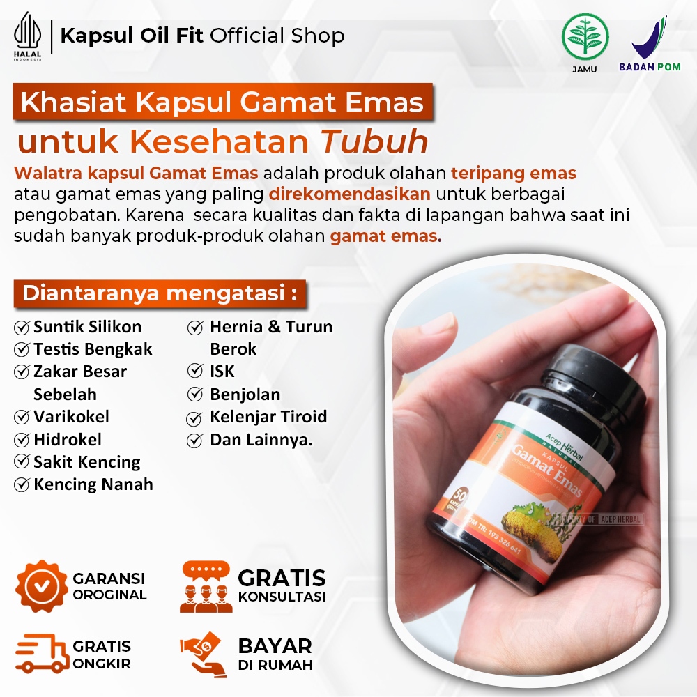 Obat Herbal Suntik Silikon Testis Bengkak Buah Zakar Besar Sebelah Suntik Minyak Kemiri Varikokel Hi