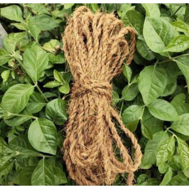 Tali sabut kelapa tali ikat anggrek tali garukan kucing