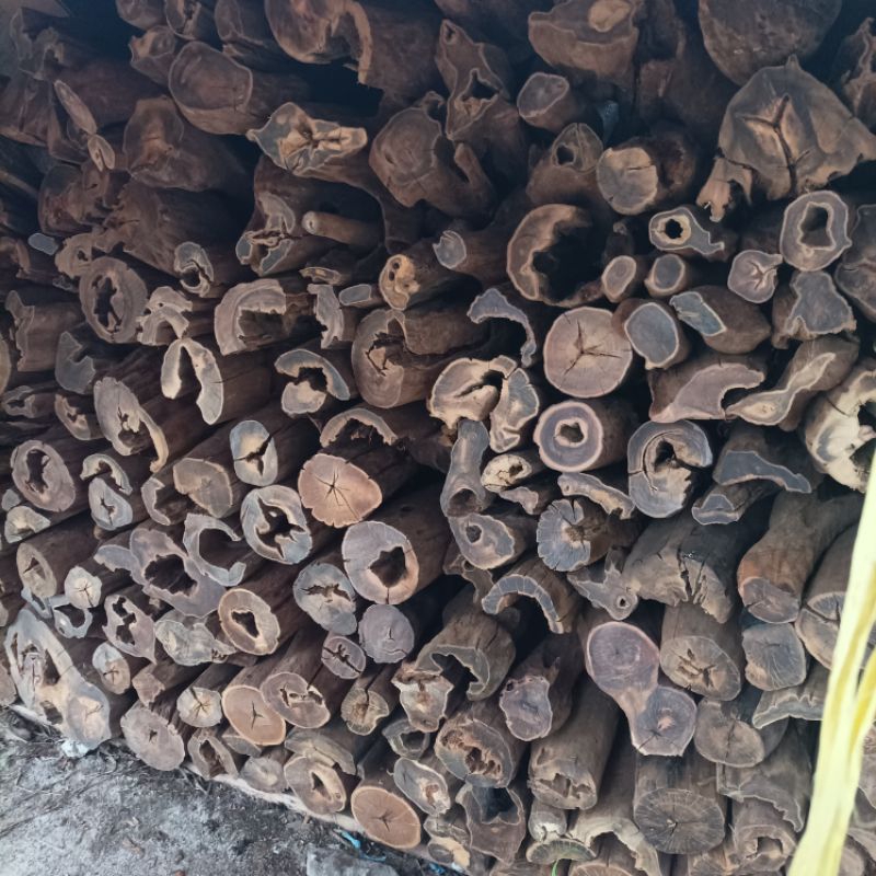 (PROMO TERBATAS) Gaharu Buaya Batangan 1kg Gaharu Buaya Bulat 1000% Asli Alami Kalteng Terbaik