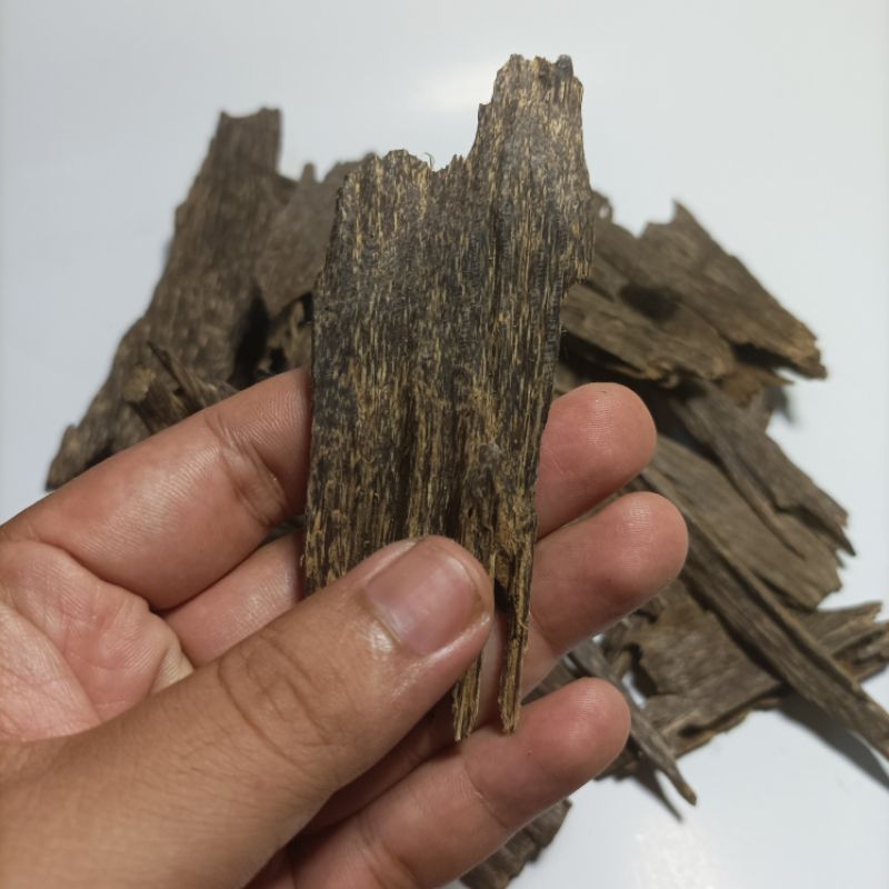 (DISKON SUPER) Gaharu Super AA Aquilaria Malaccensis Gaharu Asli Kalimantan Buhur Bukhur Dupa Arab O