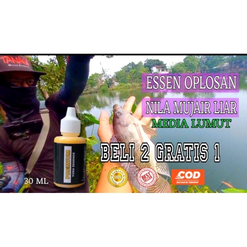 [ BELI 2 GRATIS 1 ] ESSEN IKAN NILA LIAR UMPAN LUMUT / ESSEN IKAN NILA TERBAIK (NJB)