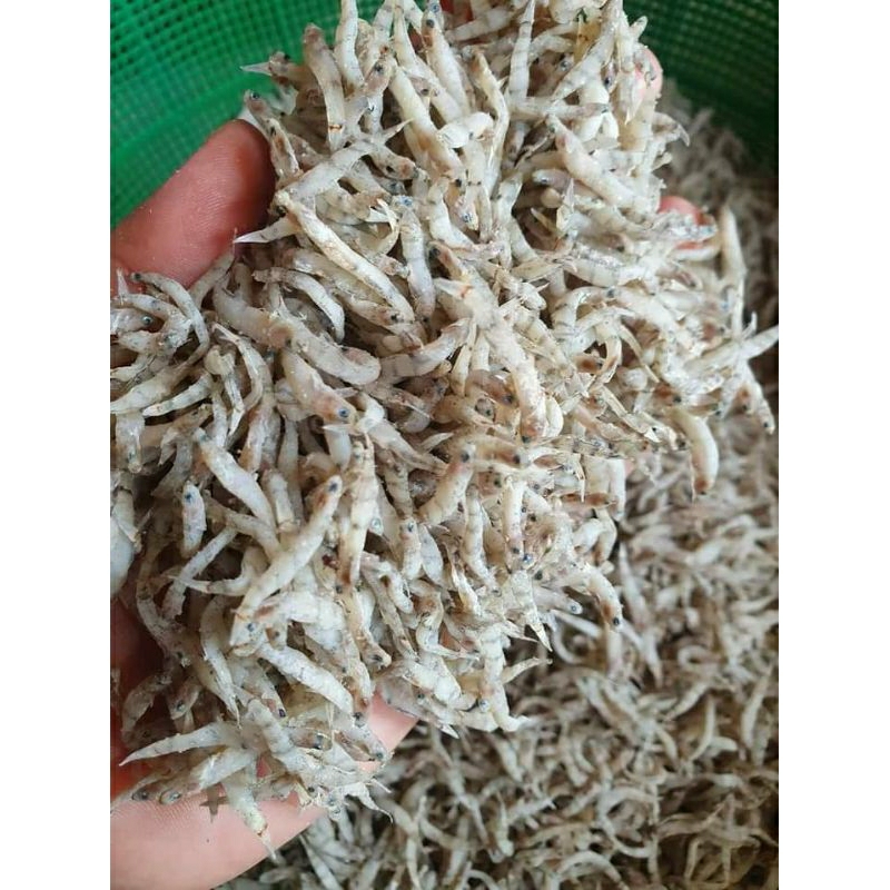 

Ikan Penja