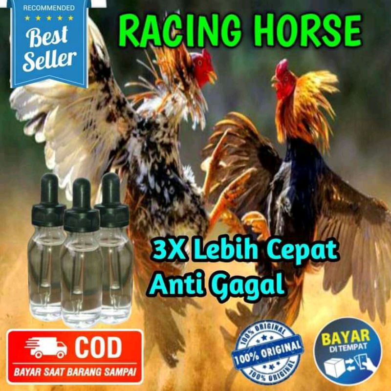 doping ayam aduan bangkok laga racing horse VIP import thailand original