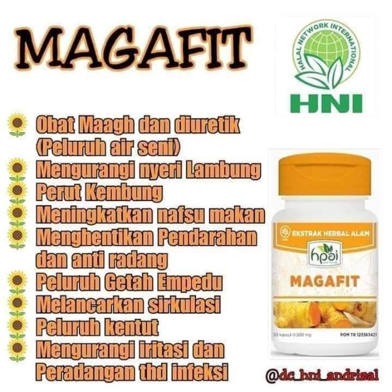 MAGAFIT KAPSUL HNI / OBAT MAAG KAPSUL / HERBAL