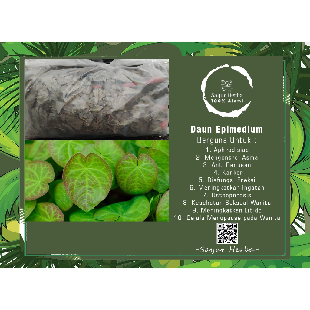 

Daun Epimedium Obat Herbal Ereksi Penambah Libido Pria