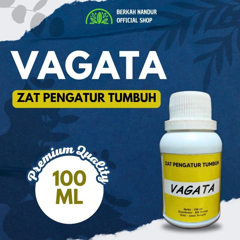 VAGATA Hormon Varigata Variegata Tanaman Hias