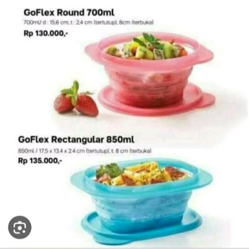 Go Flex Tupperware