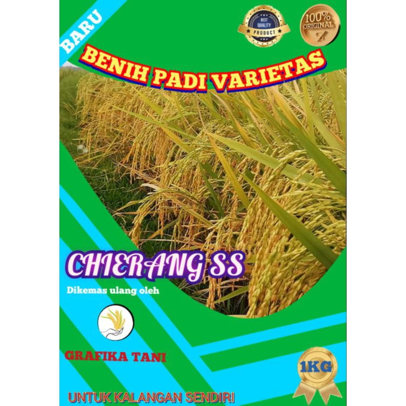 benih padi Ciherang ss kemasan reapack 1kg