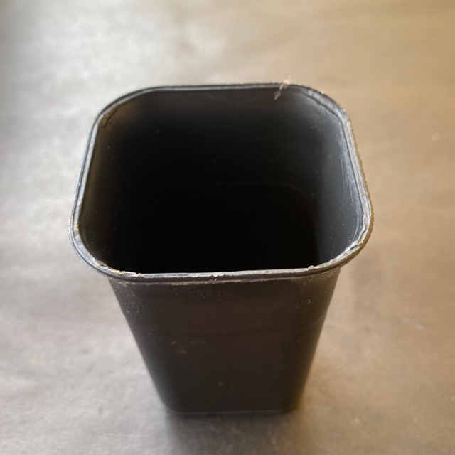 pot tanaman / pot bunga / pot kotak 5 cm