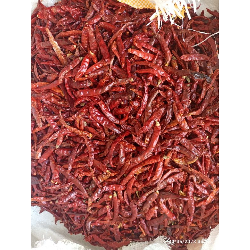 

PAKET HEMAT 5 KG CABE TEJA SUPER PEDAS TANPA TANGKAI