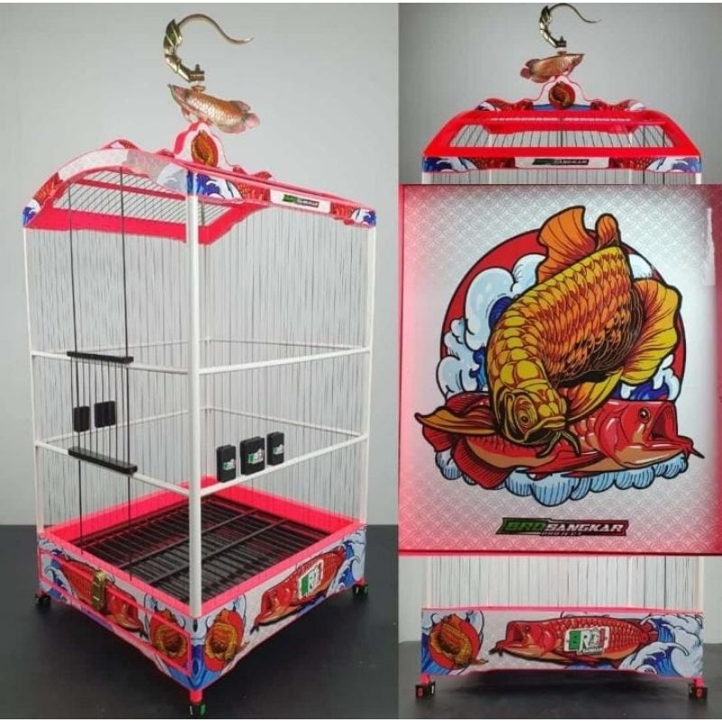 Sangkar BRO, Ruji Senar 1 mm Masih mentahan Ambrukan