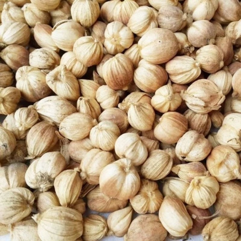 

KHASANAH- KAPULAGA UTUH / BUMBU MASAK / Detoks / Diet