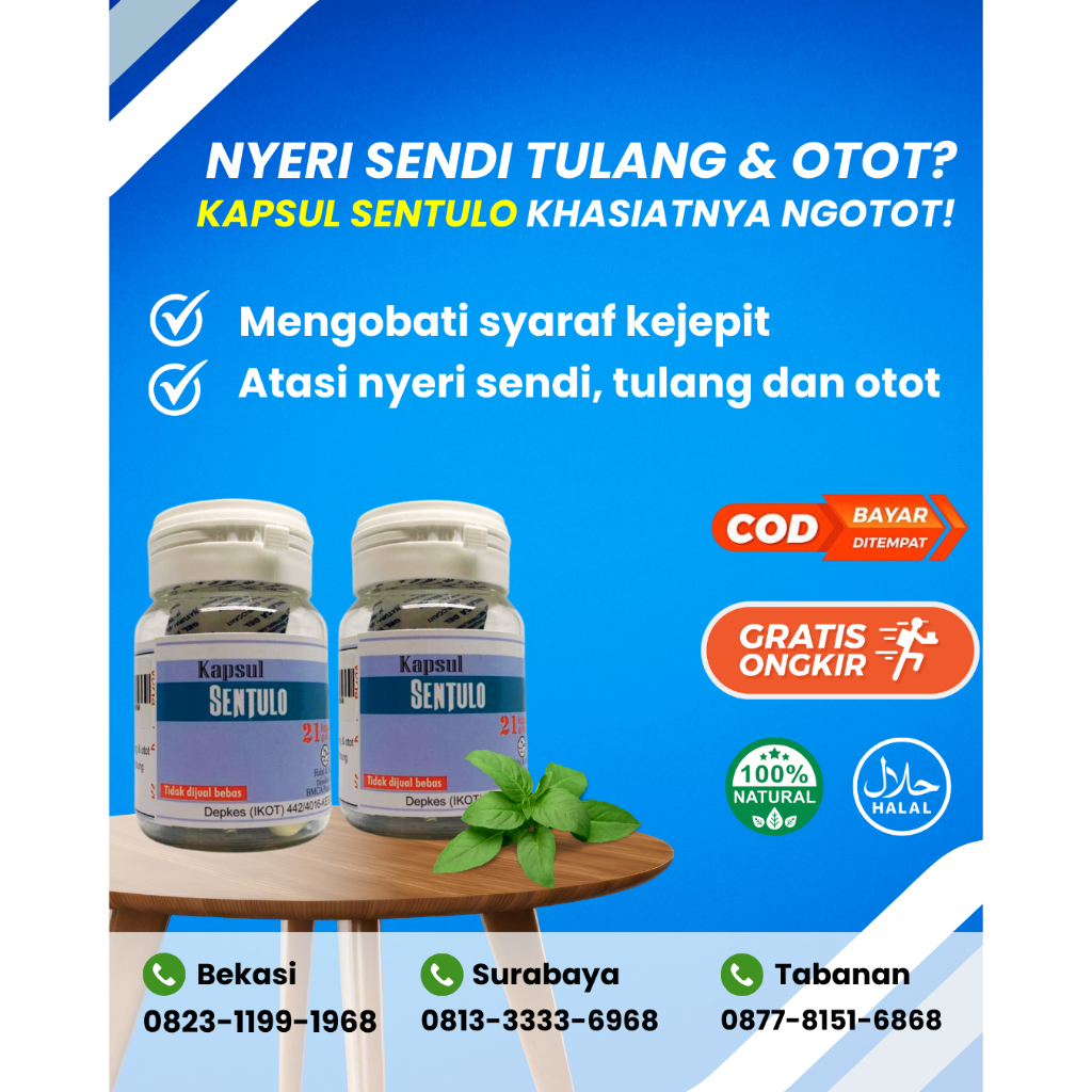 KAPSUL SENTULO | Obat Nyeri Sendi Alami | Obat Sendi Herbal | Obat Nyeri Persendian