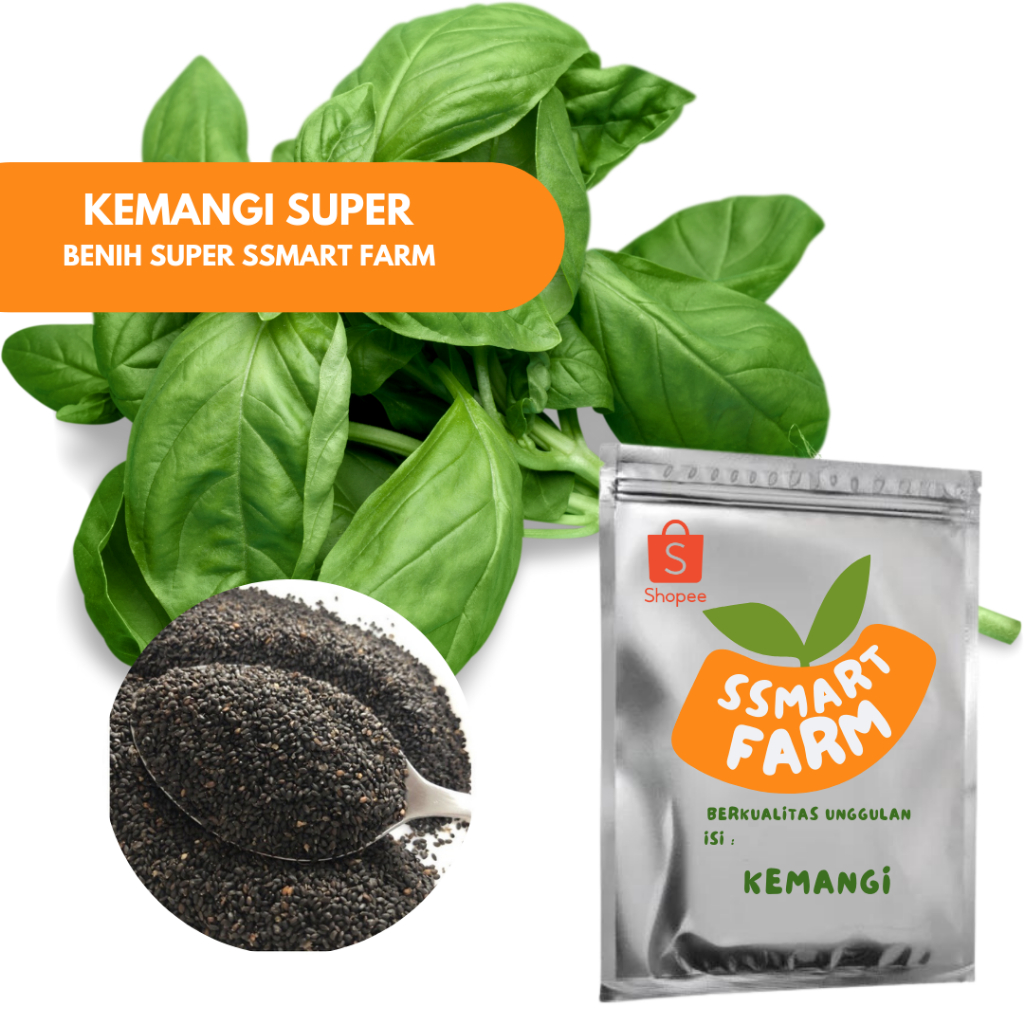 Biji/ Benih Daun Kemangi Berkualitas Unggulan