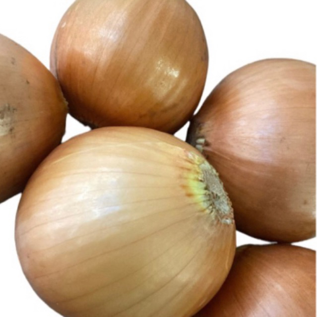 

BAWANG BOMBAY 1 BIJI