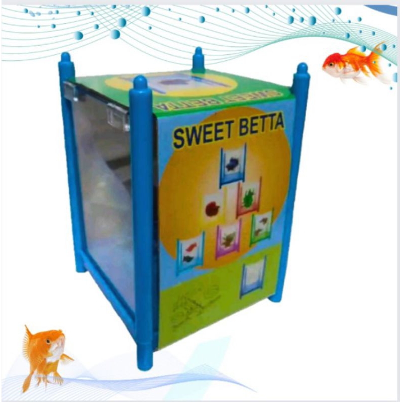 Aquarium/Tank cupang Channa Kura kura SWEET BETTA 1PC