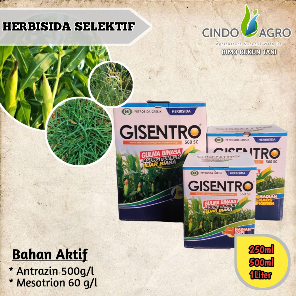 GISENTRO 560 SC - 250ml