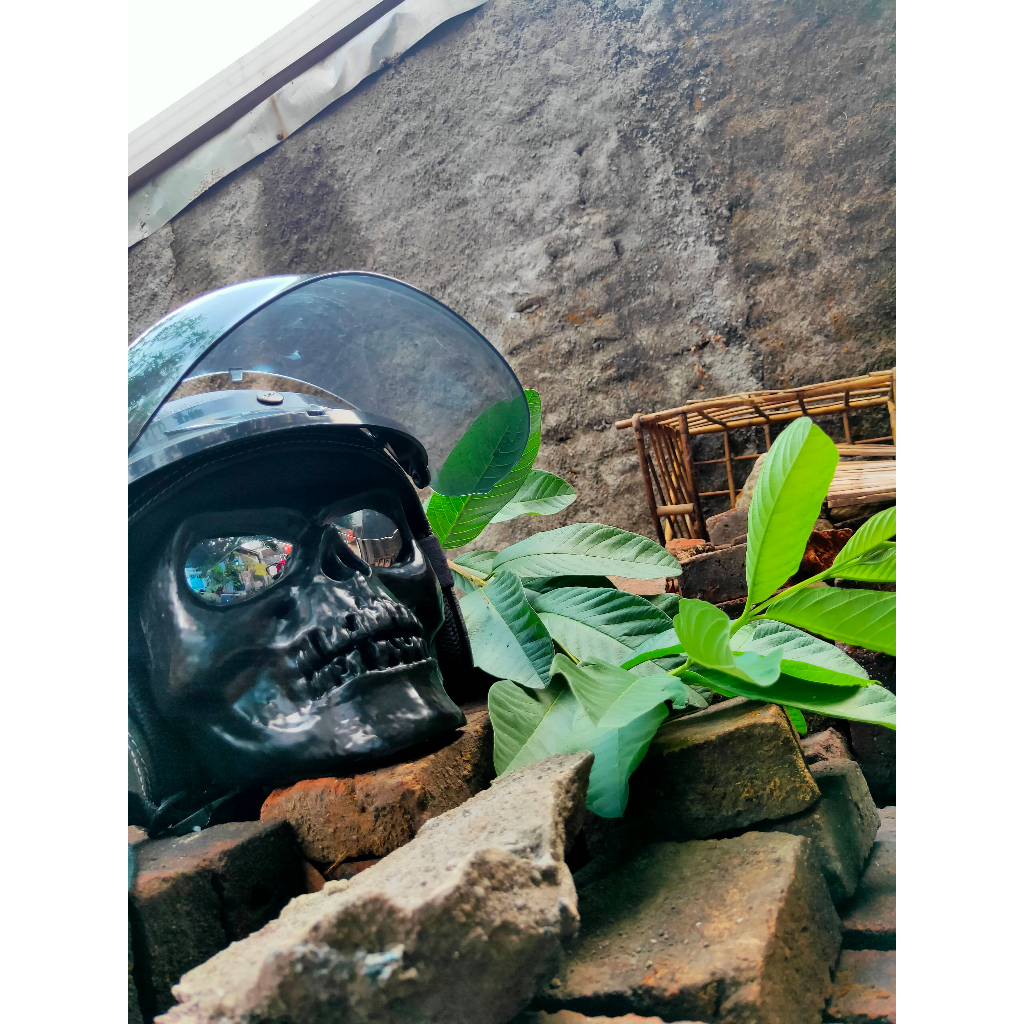 Google goggle topeng masker tengkorak / skull mask untuk cosplay defile militer topeng punisher helm