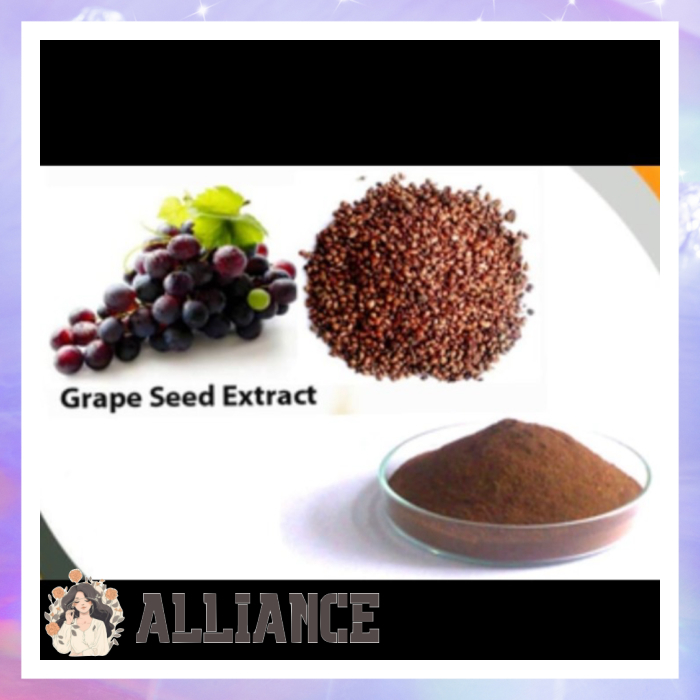 [PREMIUM] GRAPE SEED EXTRACT POWDER 20G