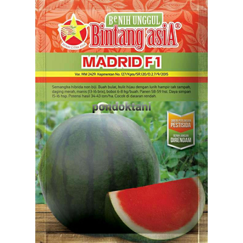 Bibit/benih semangka tanpa biji Madrid F1 dari Bintang Asia