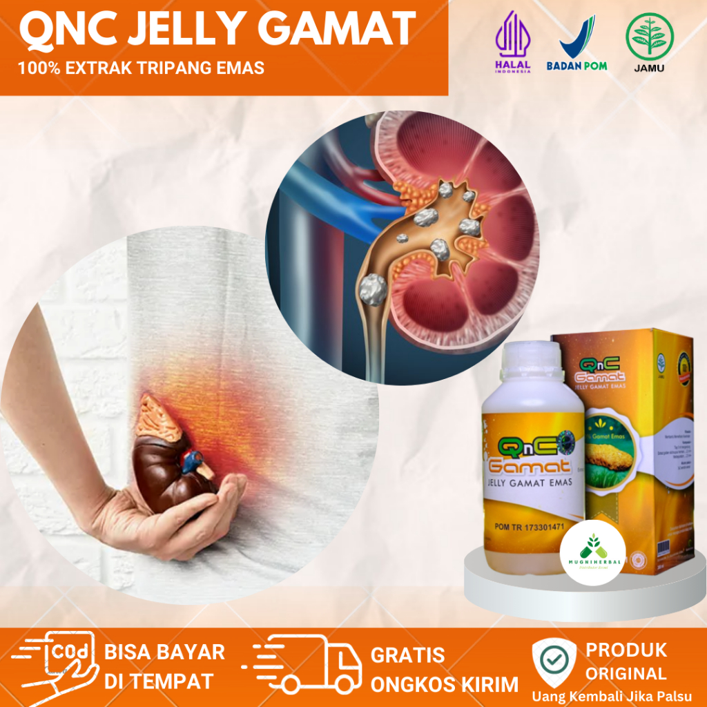 Qnc Jelly Gamat Obat Batu Ginjal, Infeksi Ginjal, Gagal Ginjal Kronis, Gangguan Fungsi Ginjal, Tunta