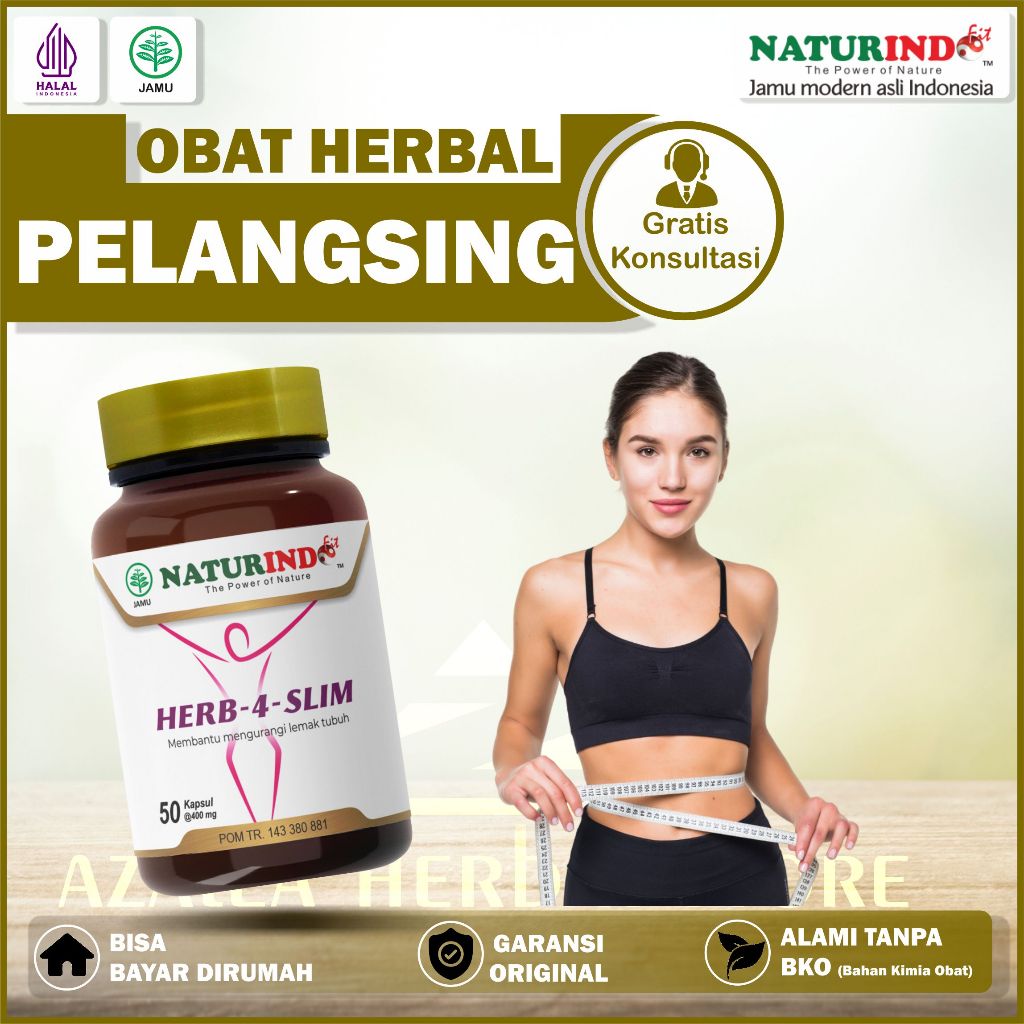 Obat Diet Pelangsing Perut Buncit Herbal BPOM Ampuh Herbaslim Naturindo