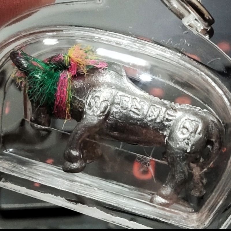 Bull Woa Tanu Protect / Lp Key