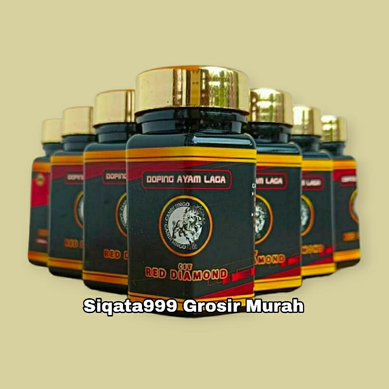 CSV Red Diamond Jamu Ayam Laga Aduan Modern Doping Herbal Bangkok